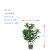 2021 New Artificial Green Plant 7# Potted Plant Antlers Rhododendron Leaf Background Leaf Screen Engineering Decoration Factory Wholesale