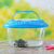 Medium and Small Plastic Turtle Jar Fish Globe Crawler Feeding Pet Box Portable Transparent Transport Box Turtle Box