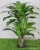 High Simulation Brazil Leaf Fake Trees Five Fork Ye Men Iron Leaf Green Plant Office Hotel Floor Small Pot Plant Bonsai