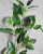Simulation Plant Fake Leaves Single Stem Nanchuan Willow Leaf DIY Photography Background White Birch Leaf Tree Engineering Decoration Wholesale