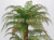 Simulation Plant Ferns Fake Leaves 1.1 M Potted Plant Leaves Ground Bonsai Fake Trees Museum Project