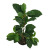 Artificial Plant Fake Pear Tree Fruit Tree Bonsai Pear Leaf Museum Background Shooting Engineering Decoration Wholesale