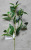 Simulation Plant Fake Leaves Single Stem Nanchuan Willow Leaf DIY Photography Background White Birch Leaf Tree Engineering Decoration Wholesale