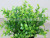 Artificial Plant Leaf Large Three-Layer Straw Ball 1.5 M Long Water Grass Leaf Spherical Landscape Museum Engineering Factory Wholesale