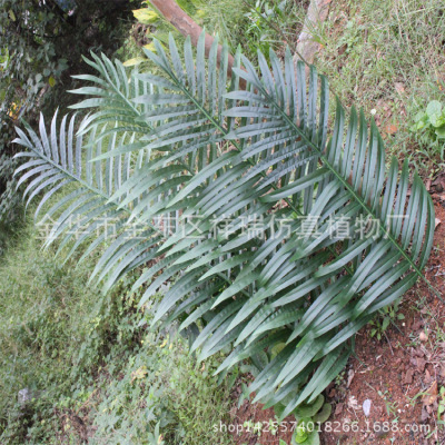 Xiang Rui  Artificial Coconut Tree Palm Leaf Tropical Green Botanical Garden Engineering Museum Coconut Leaf Fake Kwai Tree Leaf Scattered Leaves