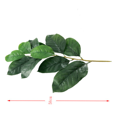 Simulation Leaf Plant Ficus Altissima Leaves Bonsai Magnolia Leaf Single Stem Manshi Qiong Nanye Gao Rong Leaf Shooting Wholesale