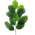 Simulation Leaf Plant Ficus Altissima Leaves Bonsai Magnolia Leaf Single Stem Manshi Qiong Nanye Gao Rong Leaf Shooting Wholesale