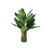 Xiang Rui Artificial Palm Leaf Plant Five Fork Tree Head Canna Leaf Tree Accessories Feather Sunflower Leaf Ground Bonsai Wholesale Decoration