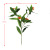 Xiang Rui Emulational Plants and Flowers Five-Fork Osmanthus Fake Leaves Silk Flower Multi-Color DIY Background Shooting Decoration Engineering Wholesale