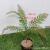 Artificial Plant Ferns Single Leaf Ground Bonsai Flower Leaf Fake Leaves Engineering DIY Decoration Factory Wholesale