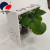 Simple Home Letter Hydroponic Plant Rack
