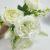 Factory Direct Sales Practical Simulation Plastic Flowers 5-Fork Peony Shooting Props Indoor and Outdoor Decoration DIY Flower Arrangement