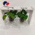 Simple Home Letter Hydroponic Plant Rack