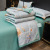 Summer Quilt Four-Piece Set Washed Ice Silk Airable Cover Summer Quilt Gift Summer Thin Duvet Single Double Tencel Quilt