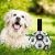 Amazon Hot Pet Supplies Dog Ball Toy Outdoor Multifunctional Interactive Rope Dog Football Dog Toy