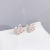 Fried Wool Duck S925 Silver Ear Studs Earrings Mori Girls Swan Zircon Earrings Small Jewelry Factory Wholesale