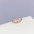 Amazon Hot European and American Style Exquisite Crown Women's Ring Micro Inlaid Zircon Open Ring Ornament Source Factory