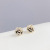 Online Influencer Earrings Wholesale Sterling Silver Needle Rose Zircon Earrings Creative All-Match Fashion Silver Stud Earrings Hong Kong Style