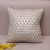Pvvelvet Bronzing Feather Pillow Home Pure Colored Fresh Pillow Cushion Cover Living Room Decorative Pillow Factory Wholesale