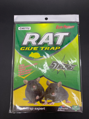 Mouse Sticker Mouse Trap Sticker Mouse Glue Rat Trap, Home Catch Fantastic Mouse Trap Factory Direct Sales