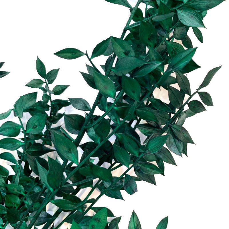 厂家直销 富贵叶干花 玫瑰花艺制作配件 花店专用