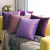 Nordic Simple Purple Velvet Women's Pillow Cushion Bedroom Bedside Cushion Sofa Backrest Lumbar Cushion Cover without Core
