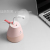 Factory Direct Sales Hot Internet Celebrity Humidifier USB Desktop Humidifier Car Office Small Humidifier
