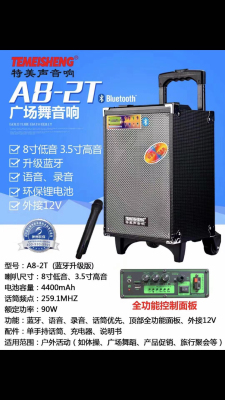 Temeisheng 8-Inch Square Dance Audio Outdoor Speaker Karaoke High-Power Portable Bluetooth Mobile Pull Bar