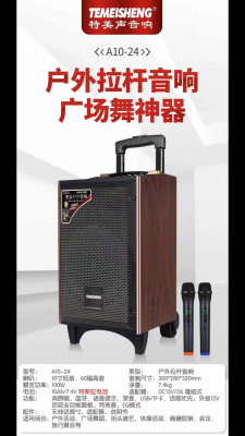 Audio Temeisheng Outdoor Trolley Bluetooth Wireless Karaoke 8-Inch 10-Inch Recording Lithium Battery Square Dance Speake