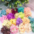 Hydrangea Flower Head Artificial Hydrangea Beautiful Silk Hy