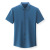 2021 Lapel Seamless Shirt Men's Summer Short Sleeve Non-Ironing Solid Color Slim Shirt Men's Business Simplicity Dad Wear
