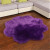 European-Style Plum Carpet Plush Flower Blanket Home Full-Shop Living Room Decoration Bedroom Bay Window Can Be Wholesale