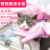 Pet Dog Cat Miracle Baby Sponge Teddy/Golden Retriever Bath Gloves with Brush Cat Anti-Scratch Anti-Bite Supplies
