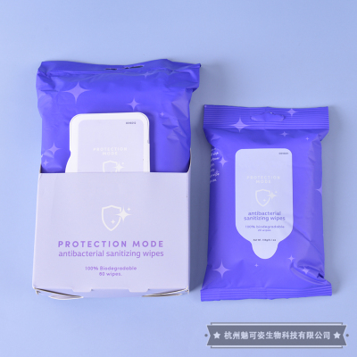 60pcs Antibacterial Disinfection Wipe Hospital Sterilization Wipes Domestic Toilet Toilet Surface Antimicrobial Wipes