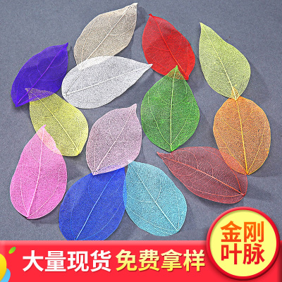 White Color Diamond Leaf Vein Leaf Dried Flower Greeting Card Handmade Epoxy Auxiliary Materials Plant Specimen Price Discount