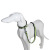 Retractable Pet Supplies Dog Traction Reflective Traction Belt Set Pet Collar Dog Leash Cross-Border