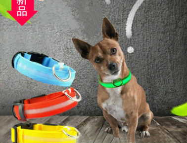 LED Luminous Pet Supplies Dog Fishing Line Optical Fiber Collar Led Large, Medium and Small Dogs Luminous Collar Wholesale Supply