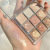 Makeup Roto Flash Snowflake Nine Colors Eye Shadow Plate Daily Nude Makeup Student Price Shimmer Matte Earth Tone Eyeshadow