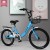  Bicycle Princess Bicycle Sharing Bicycle 20-Inch Student Bicycle Factory Wholesale