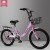  Bicycle Princess Bicycle Sharing Bicycle 20-Inch Student Bicycle Factory Wholesale