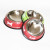 Pet Bowl Bone Paint Stainless Steel Bowl for Pet Pet Bowl Thick Non-Slip Paint Color Bone Dog Bowl L