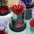 Fresh Flower Little Prince Gift Box Rose Glass Cover Qixi Valentine's Day Teacher's Day Christmas Gift Wholesale