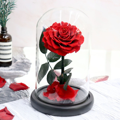 Fresh Flower Little Prince Gift Box Rose Glass Cover Qixi Valentine's Day Teacher's Day Christmas Gift Wholesale