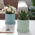 Nordic Ins Simple Ceramic Flower Pot Morandi Style Succulents Flower Pot Modern and Unique Green Radish Rose Palette