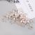 Korean Style Exquisite Flower Leaf Bridal Headdress Hair Accessories Rose Element Hair Comb Pin Matching Design