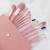 Factory Direct Supply Wholesale 12 PCs Nude Pink Makeup Brush Set Powder Brush Blush Eye Shadow Brush Makeup Tools