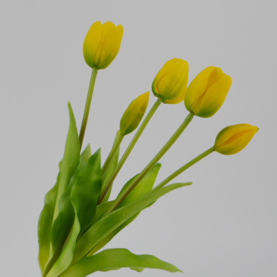 Artificial Soft Rubber Tulip Bouquet PE Latex Or Silicone Tulip Flower Artificial Flower Moisturizing Feel 5 Tulip