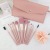 Factory Direct Supply Wholesale 12 PCs Nude Pink Makeup Brush Set Powder Brush Blush Eye Shadow Brush Makeup Tools