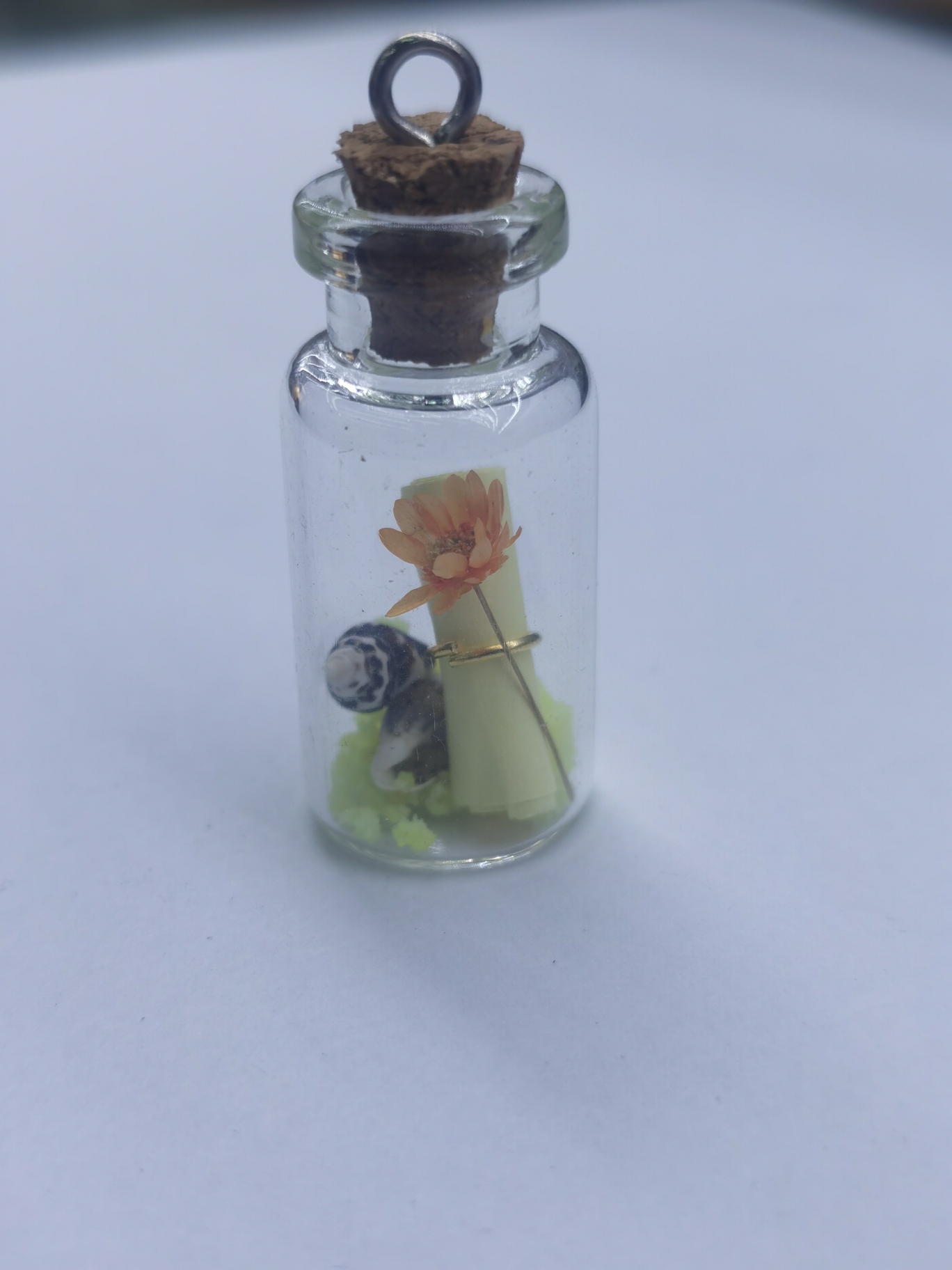 漂流瓶夜光沙天然植物干花纸条信纸海螺钥匙扣挂件吊坠漂流瓶