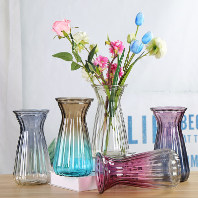 Factory Wholesale European Style Simple Glass Vase Home Office Decoration Hydroponic Vase Large Ornaments Multicolor